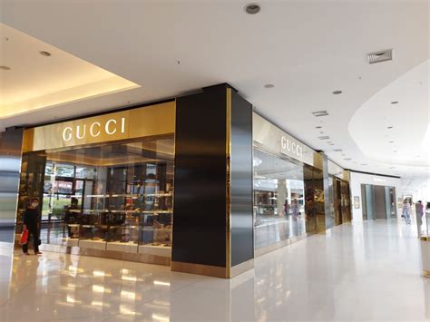 brasilla gucci